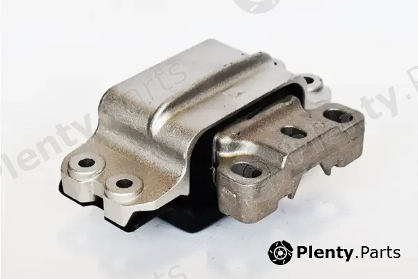 Asam Automotive 76493 — Mounting, engine