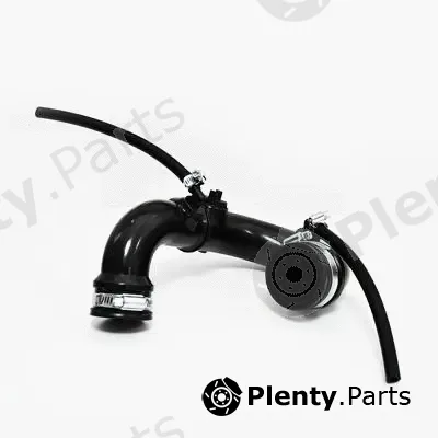 Asam Automotive 30873 — Radiator Hose IESIRE