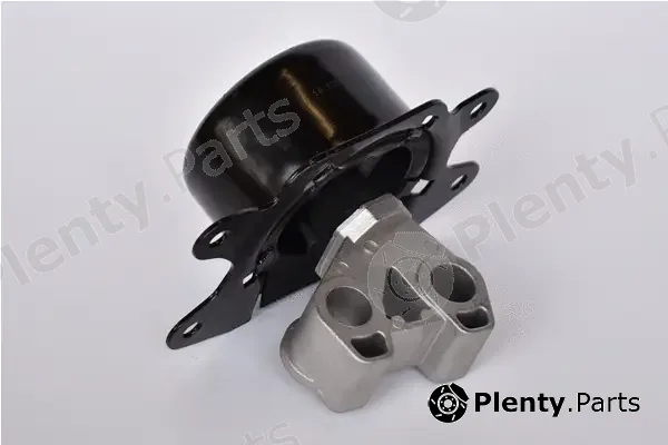 Asam Automotive 76630 — Mounting, engine