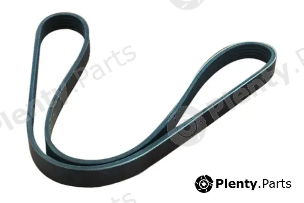 Asam Automotive 55988 — V-Ribbed Belt