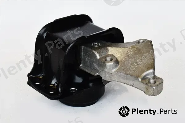 Asam Automotive 76563 — Mounting, engine