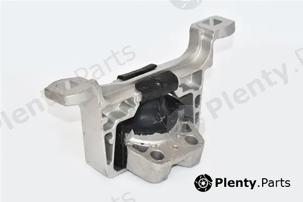Asam Automotive 76582 — Mounting, engine