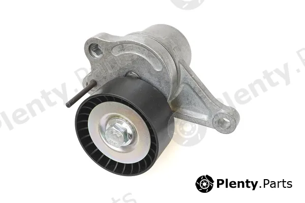 Asam Automotive 101296 — Tensioner Lever, V-ribbed belt