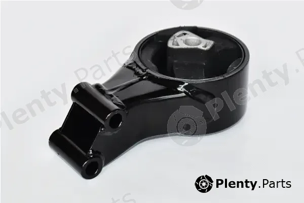 Asam Automotive 76595 — Mounting, engine