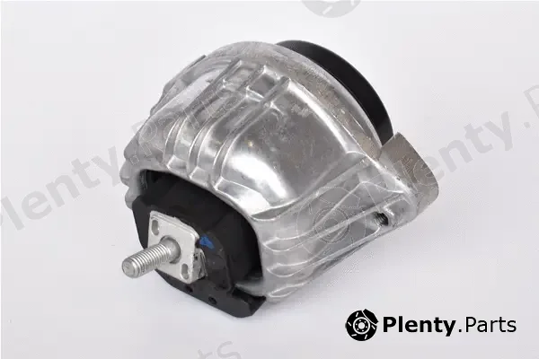 Asam Automotive 76576 — Mounting, engine