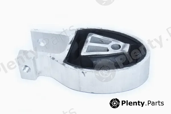 Asam Automotive 79481 — Mounting, engine