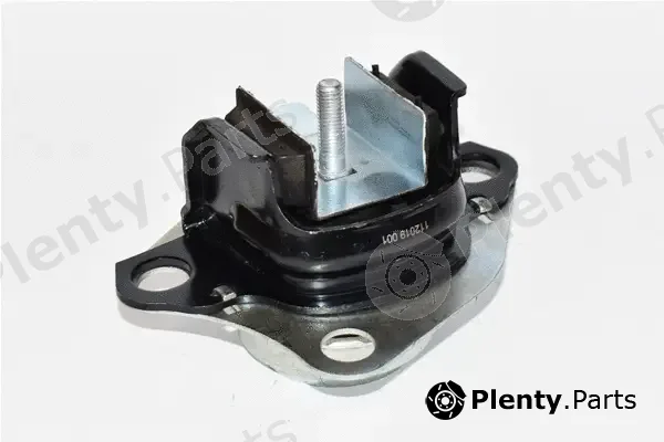 Asam Automotive 76621 — Mounting, engine