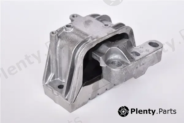 Asam Automotive 76601 — Mounting, engine