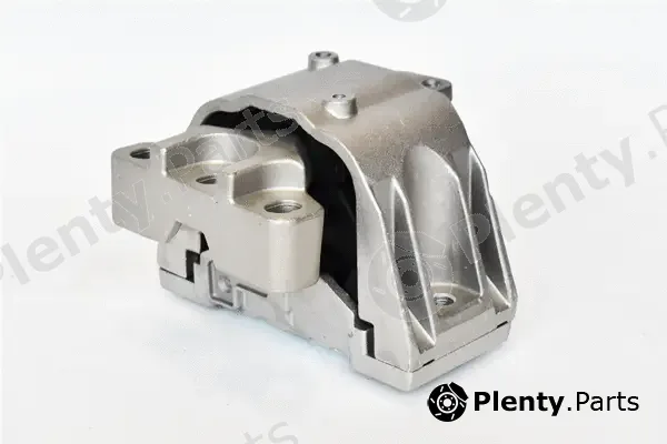 Asam Automotive 76486 — Mounting, engine