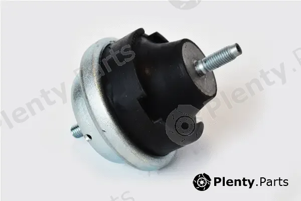 Asam Automotive 76516 — Mounting, engine