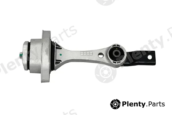 Asam Automotive 99809 — Mounting, engine