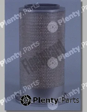 Fleetguard AF4838 — Air Filter