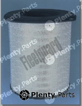 Fleetguard AF25239 — Air Filter