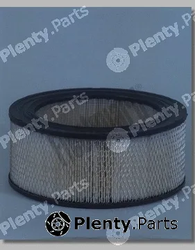 Fleetguard AF1731 — Air Filter