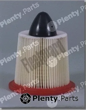 Fleetguard AF25254 — Air Filter