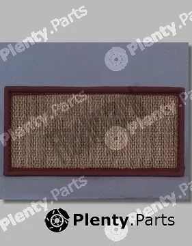 Fleetguard AF4965 — Air Filter