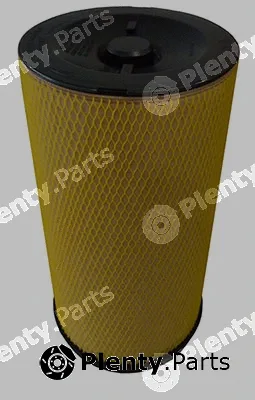 Fleetguard AF4187 — Secondary Air Filter