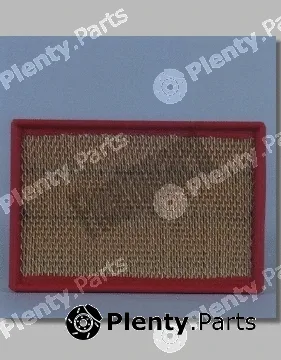 Fleetguard AF4619 — Air Filter