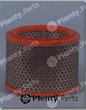 Fleetguard AF1953 — Air Filter