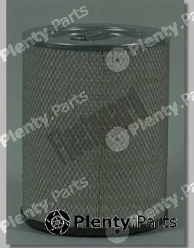 Fleetguard AF25383 — Air Filter