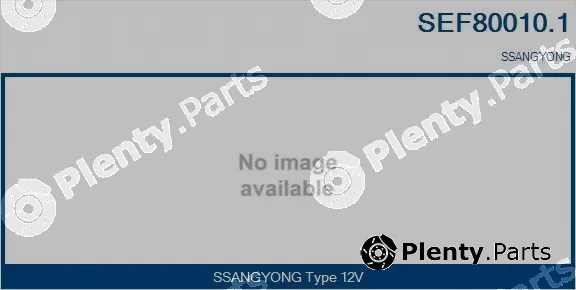 Sando SEF80010.1 — Electric Motor, radiator fan