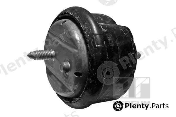 Tedgum 00089803 — Mounting, engine