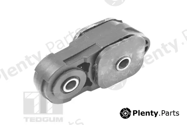 Tedgum 00461492 — Mounting, engine