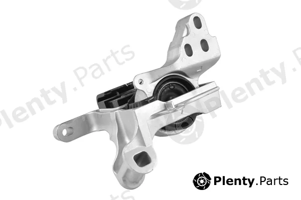 Tedgum TED42365 — Mounting, engine