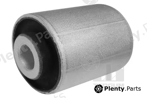Tedgum 00261943 — Mounting, control/trailing arm