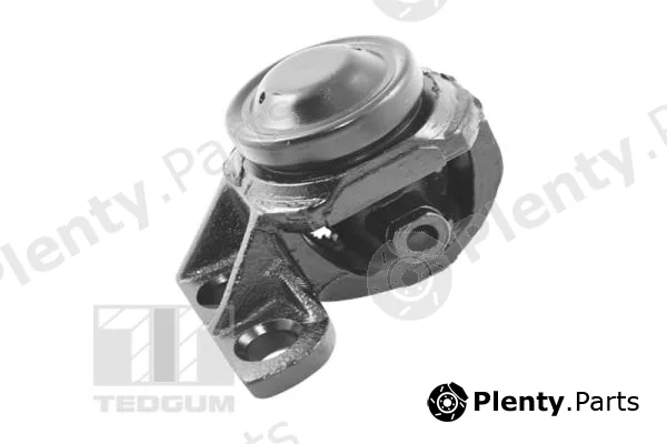 Tedgum 00345623 — Mounting, engine