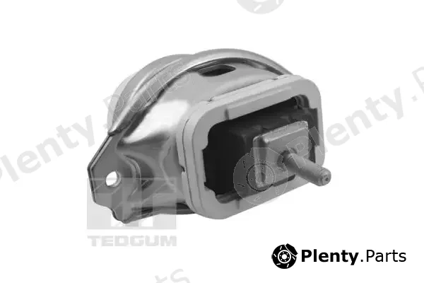 Tedgum TED44341 — Mounting, engine