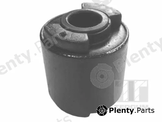 Tedgum 01134340 — Mounting, control/trailing arm
