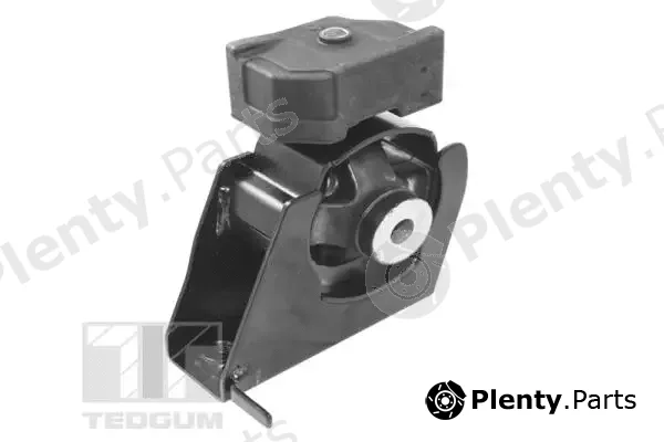 Tedgum TED99124 — Mounting, engine