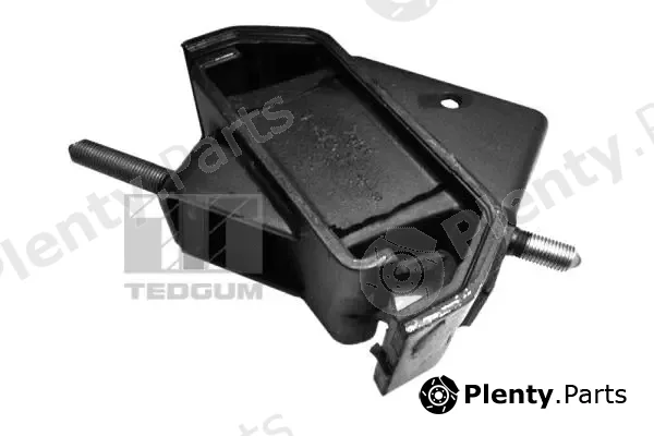 Tedgum 00976918 — Mounting, engine