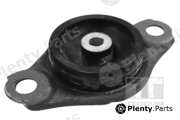 Tedgum TED58229 — Mounting, engine