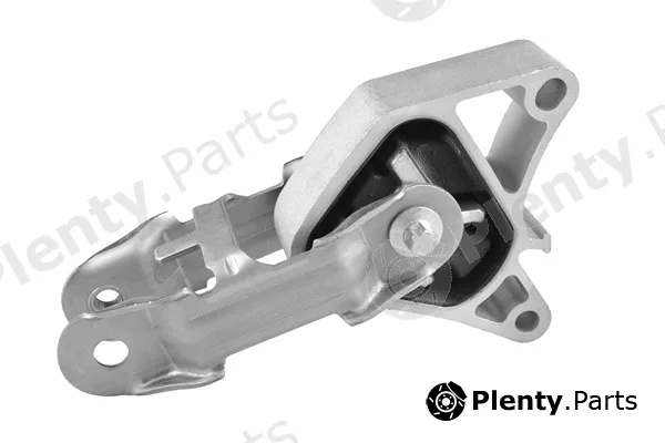 Tedgum TED62243 — Mounting, engine