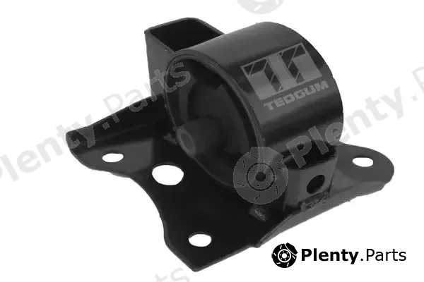 Tedgum 00466643 — Mounting, engine