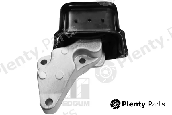 Tedgum 00511754 — Mounting, engine