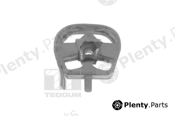 Tedgum 00504640 — Mounting, engine