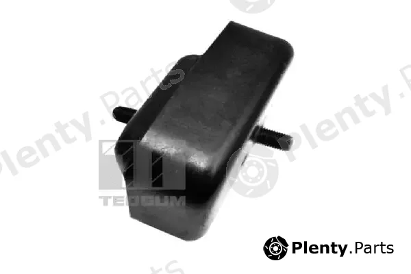 Tedgum 00651898 — Mounting, engine