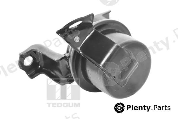 Tedgum TED11362 — Mounting, engine