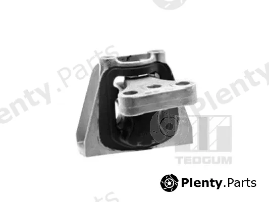 Tedgum 00269162 — Mounting, engine