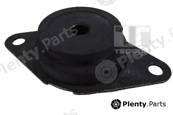 Tedgum 00581751 — Mounting, engine
