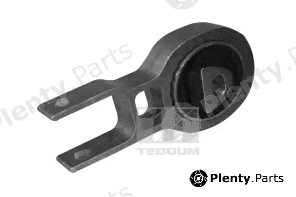 Tedgum 00219531 — Mounting, engine