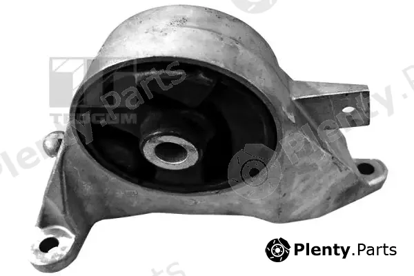 Tedgum 00505933 — Mounting, engine