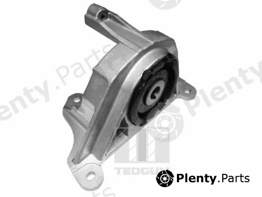 Tedgum 00215780 — Mounting, engine