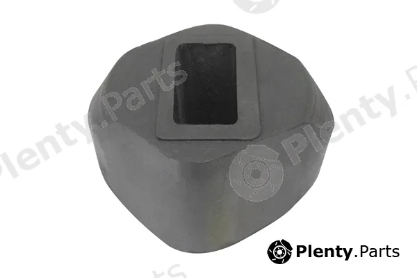 Tedgum 00517118 — Mounting, engine