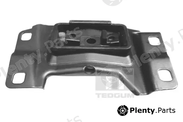Tedgum 00226638 — Mounting, engine