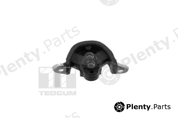 Tedgum 00500616 — Mounting, engine