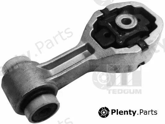 Tedgum 00586243 — Mounting, engine